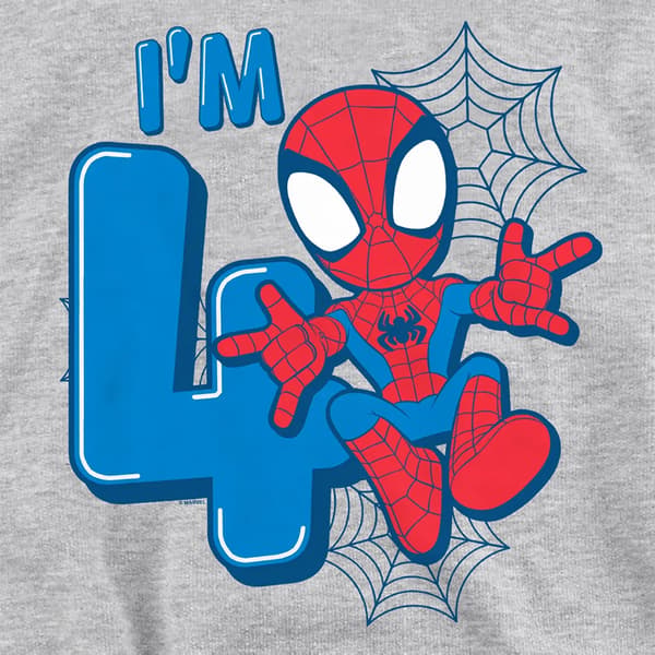 Spider-Man Barn/Kids Heather Pull Over 4-årsdag Hoodie