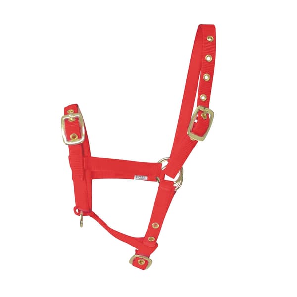 Hy Foal Head Collar