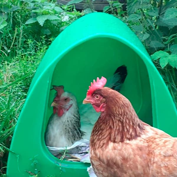 Stubbs Poultry Palace