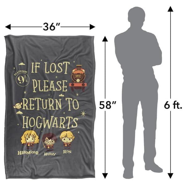 Harry Potter Return To Hogwarts Blanket