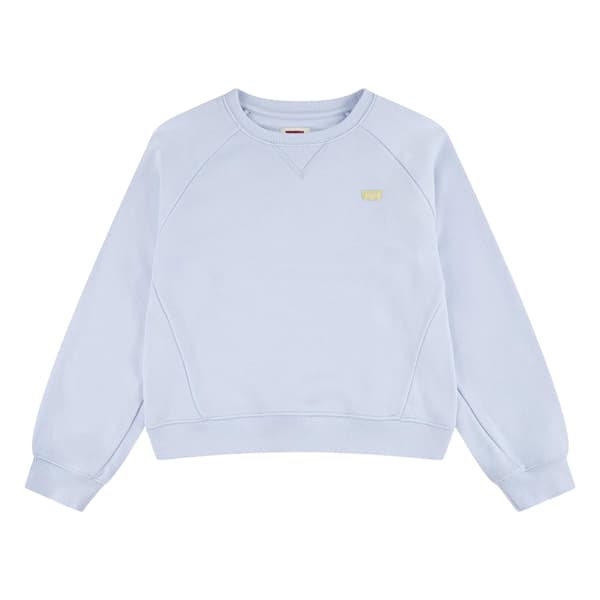 Levis Barn/Kids Batwing Logotyp Tröja