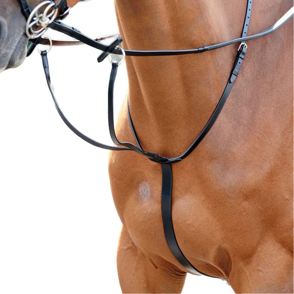 Whitaker Barton Leather Horse Martingale