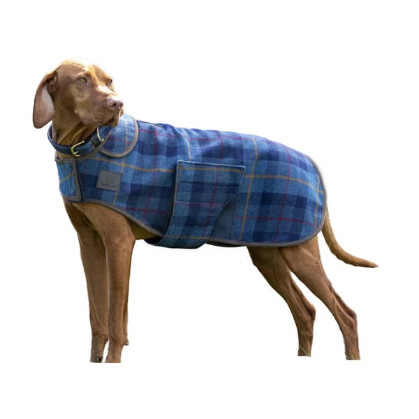 Digby & Fox -ruudullinen tweed-koirantakki