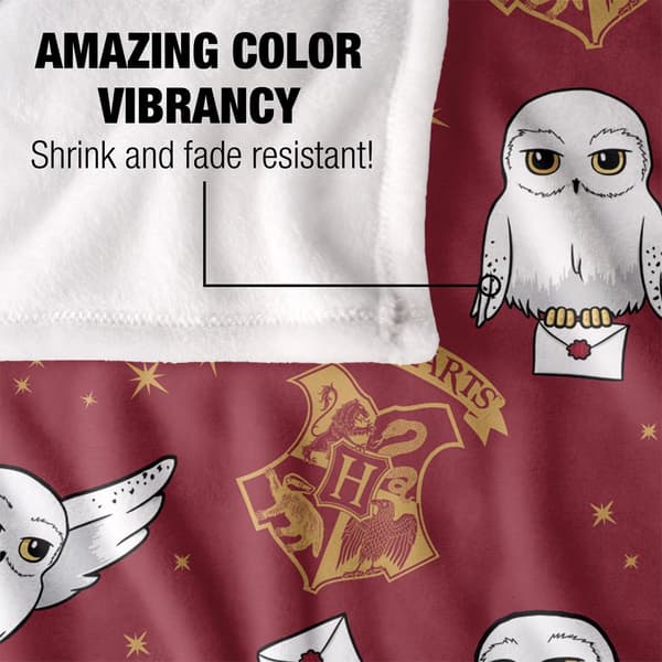 Harry Potter Letter Hedwig Blanket