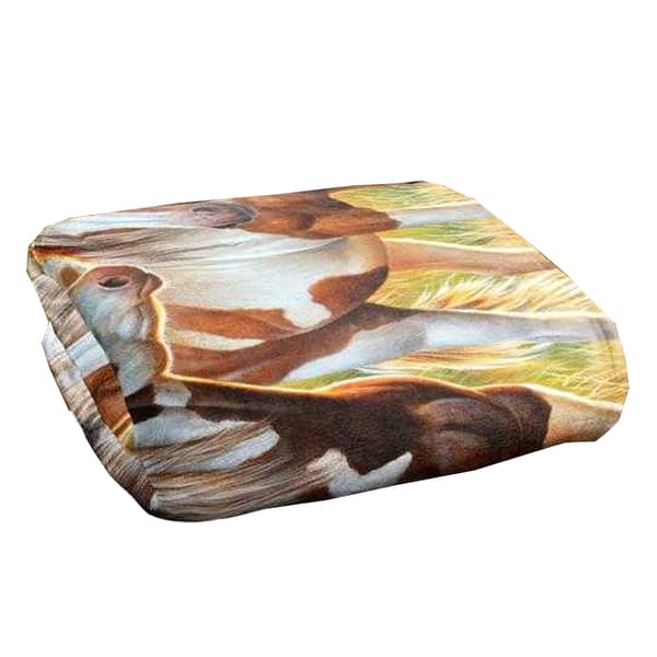 JQ Licensing Cf Silky Horse Supersoft Blanket
