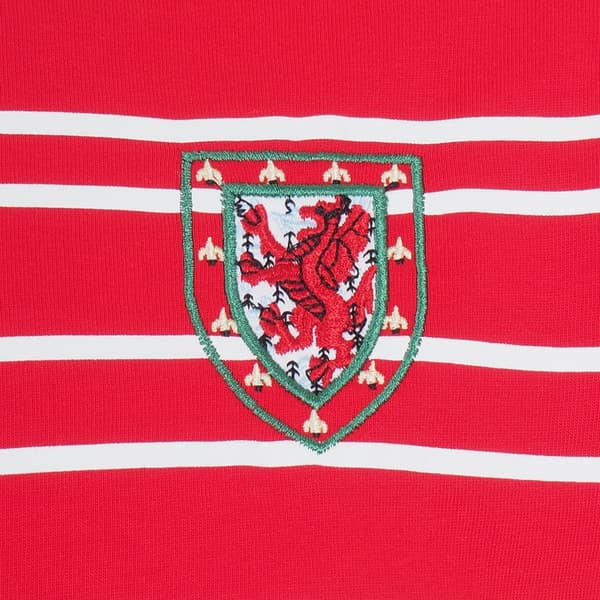 FA Wales T-shirt til mænd
