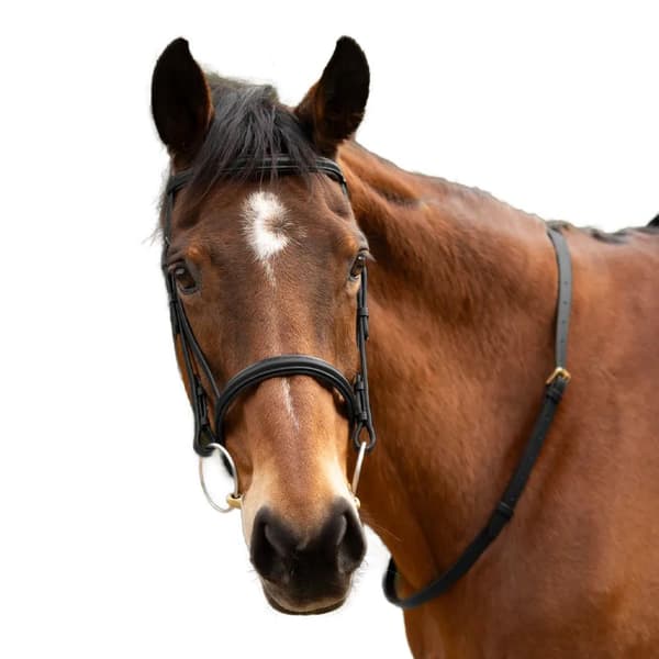 Hy Leather Horse Neck Strap