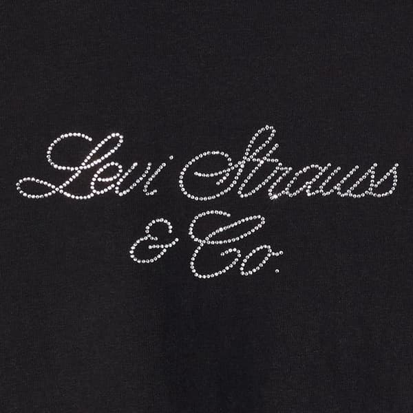 Levis Dam Script Regular T-shirt