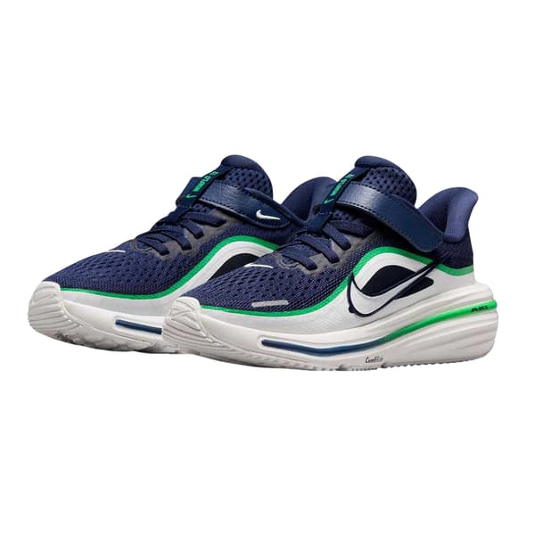 Nike Boys Winflo 12 Skor