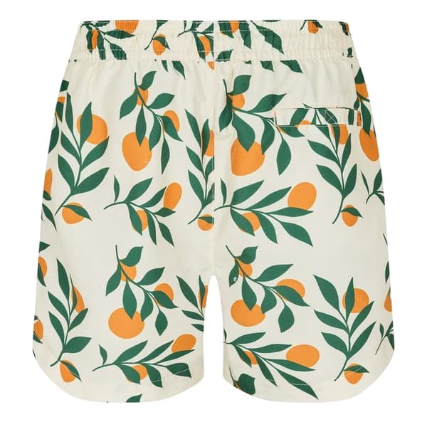 Threadbare Mens Ripen Regular Swim Shorts