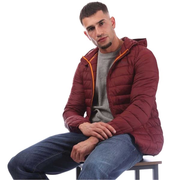 Aquascutum Herr Logotyp Pufferjacka