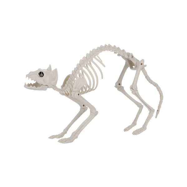 Smiffys Cat Skeleton Prop