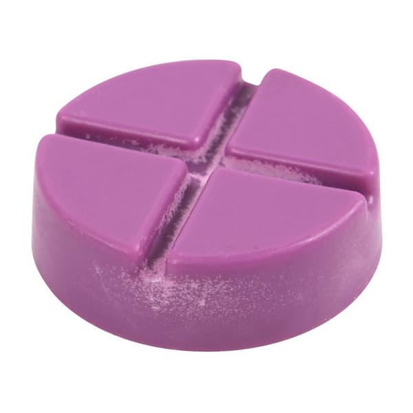 Something Different Witching Hour Disc Wax Melt