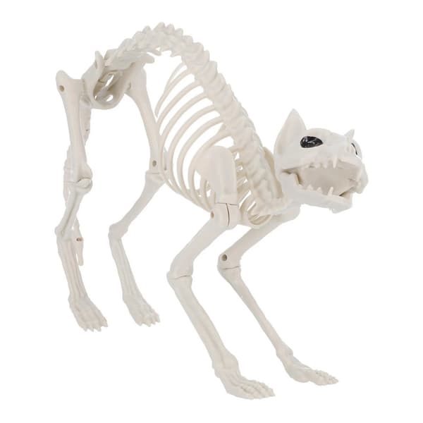 Smiffys Cat Skeleton Prop