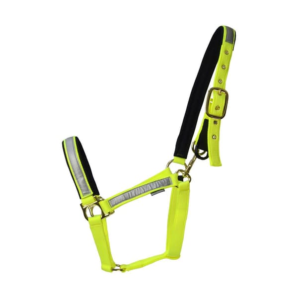 HyVIZ Fieldsafe Horse Headcollar