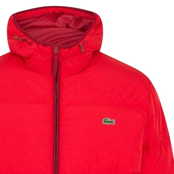 Lacoste Herr Tungvikt Quiltad Pufferjacka