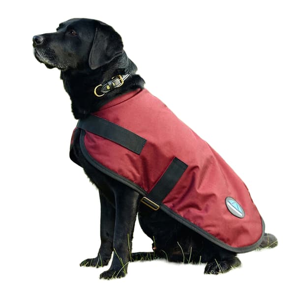 Weatherbeeta Comfitec Classic Waterproof Dog Coat