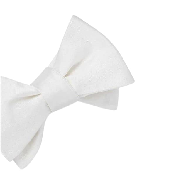 Off White Enfärgad Formell Fluga i Satin