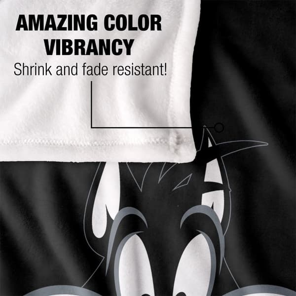 Looney Tunes Sylvester-viltti