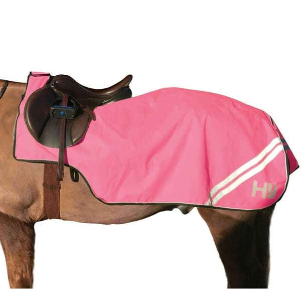 HyVIZ Reflector Mesh Horse Exercise Sheet