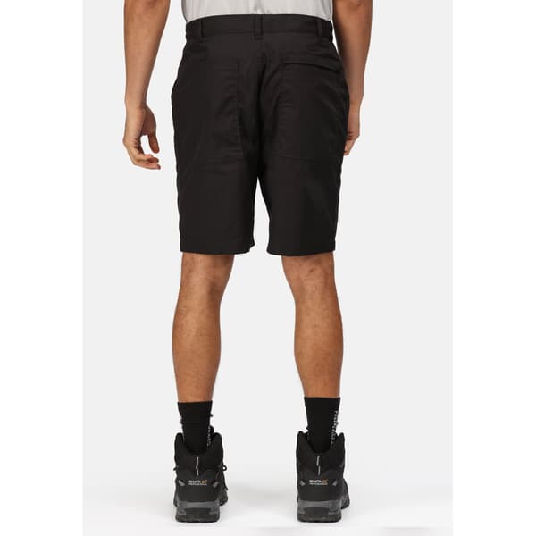 Regatta Mens New Action Shorts