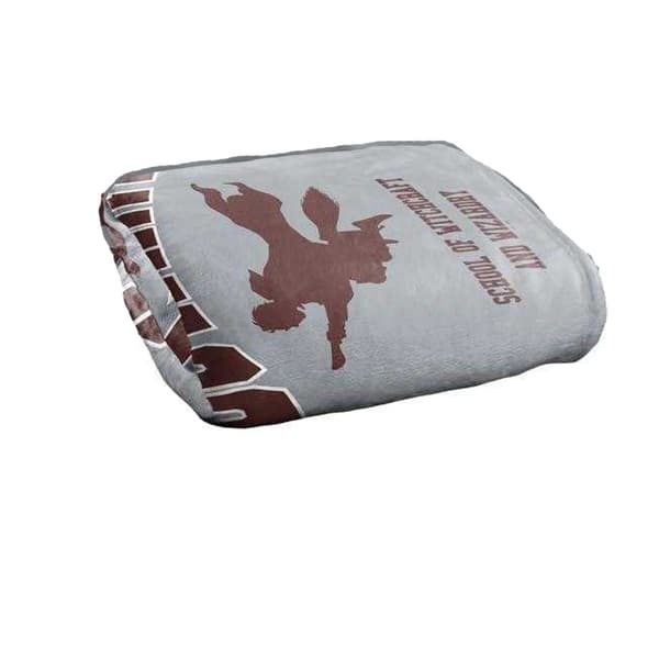 Harry Potter Hogwarts Soft Touch Blanket