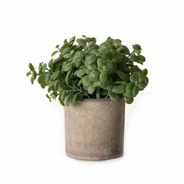 Hill Interiors Basil Artificial Plant