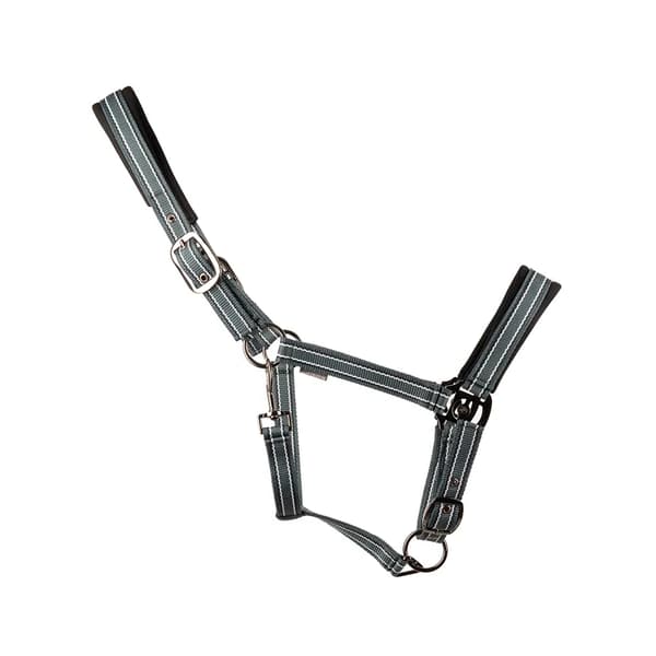 Hy Vertiga Horse Headcollar