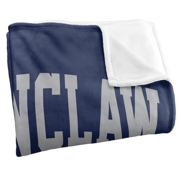 Harry Potter Ravenclaw Soft Touch Blanket