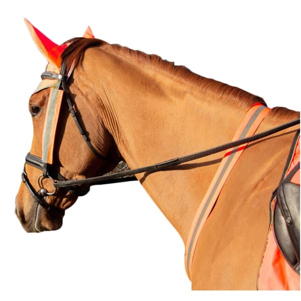 HyVIZ Hest Martingale