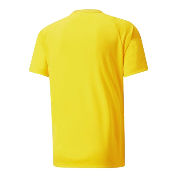 Puma TeamVision Fotbollströja för män