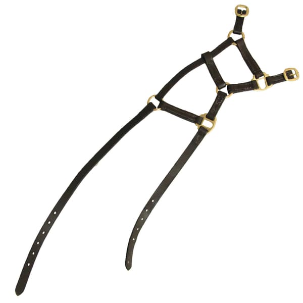 Hy Leather Foal Head Collar