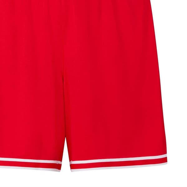 Puma Hoops Team Game Performance Shorts för damer