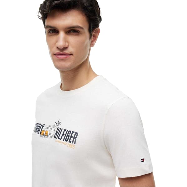 Tommy Hilfiger Herr Sommar Brösttryck Regular T-shirt