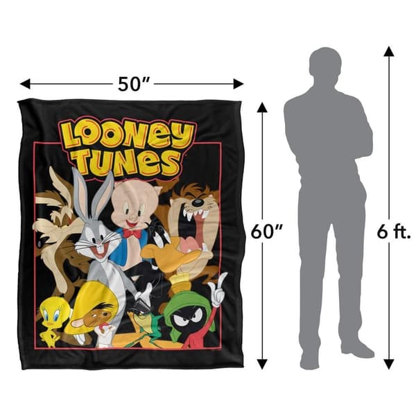 Looney Tunes Silky Group -viltti