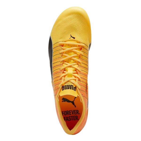 Puma Mens Evospeed Brush 6 piikkarit