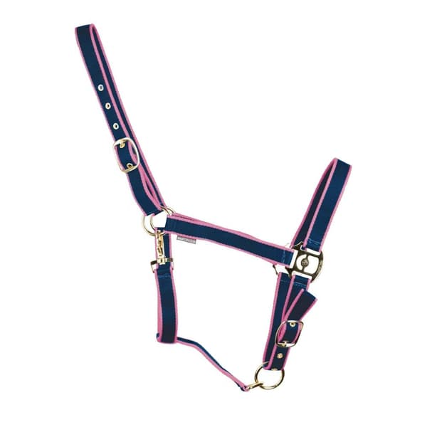 HYCONIC Horse Headcollar