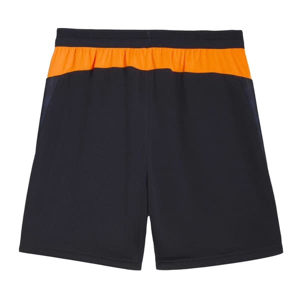 Puma Herr Cup Shorts