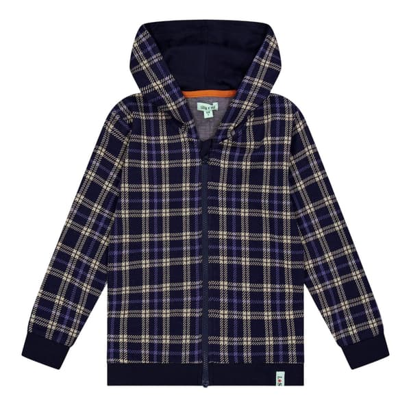 Lilly & Sid Childrens/Kids Checked Hoodie