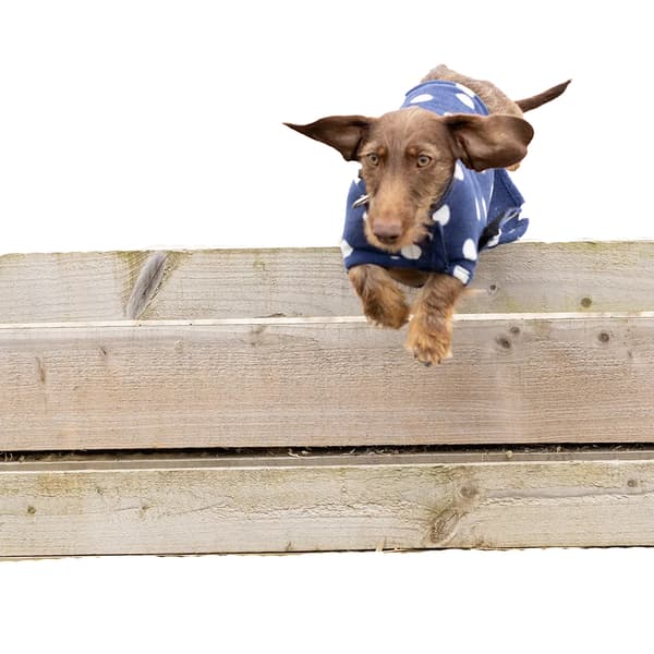 Supreme Products Prickig Hundkappa