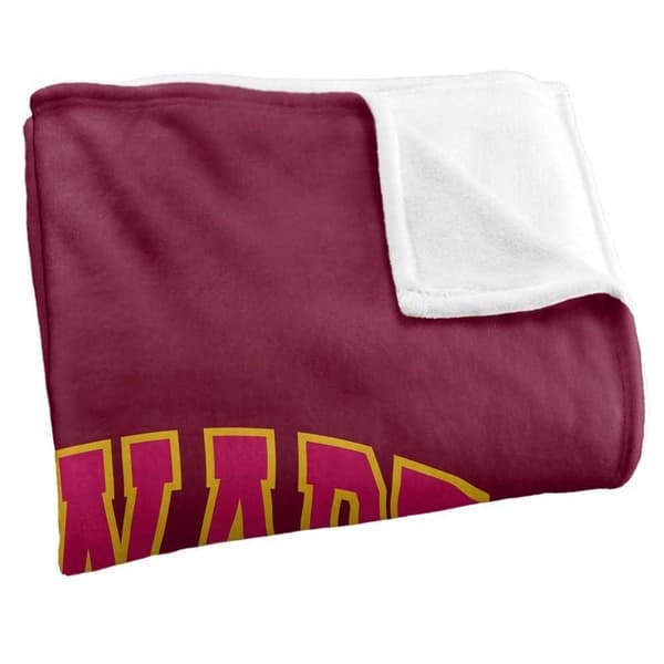 Harry Potter Hogwarts Silky Gryffindor Blanket