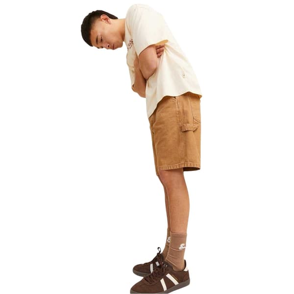 Jack And Jones Shorts til mænd