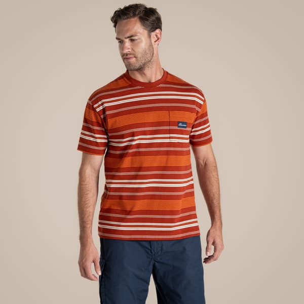 Craghoppers Herr Pointer Randig Kortärmad T-shirt