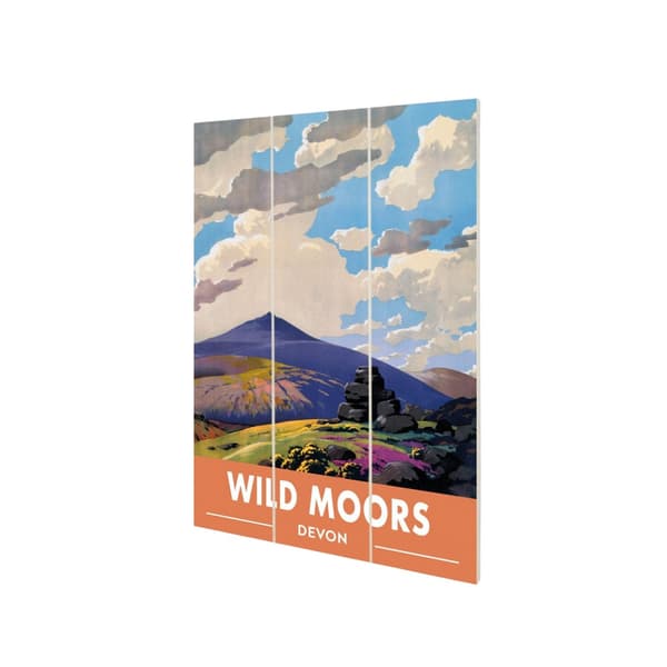 Railway Museum Wild Moors Devon Micro Wood Print