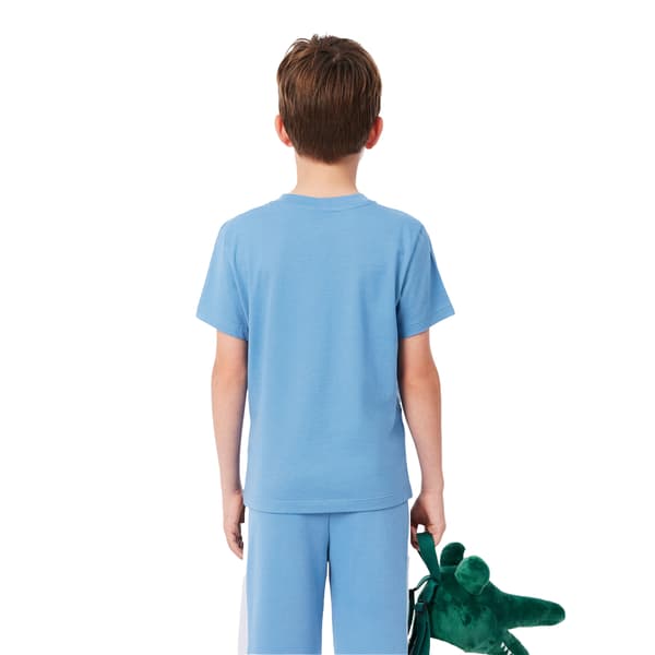 Lacoste Lasten/Nuorten Block Regular T-paita