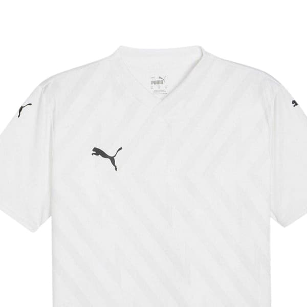Puma Herr Teamglory Tröja T-shirt