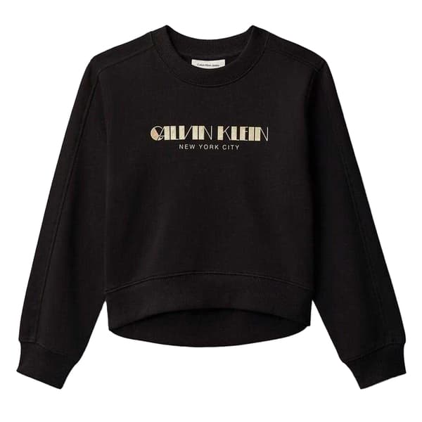 Calvin Klein Barn/Kids Glitter Logotyp Tröja