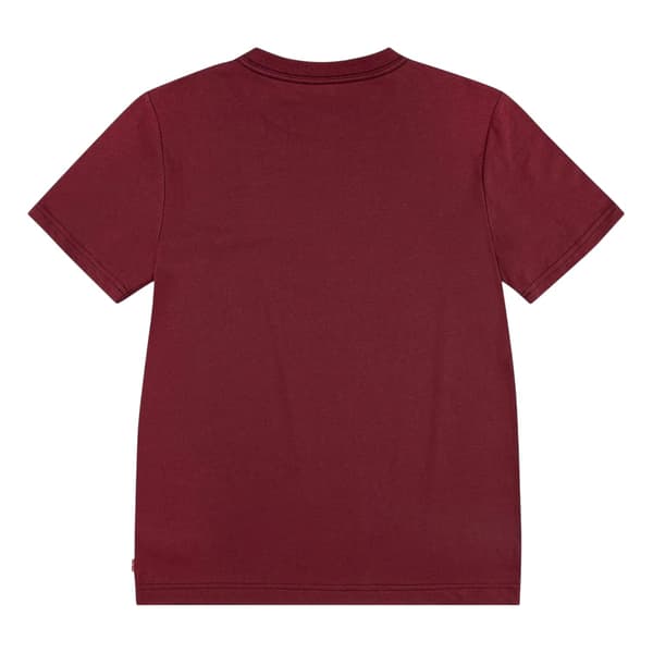 Levis Boys Regular Batwing T-Shirt