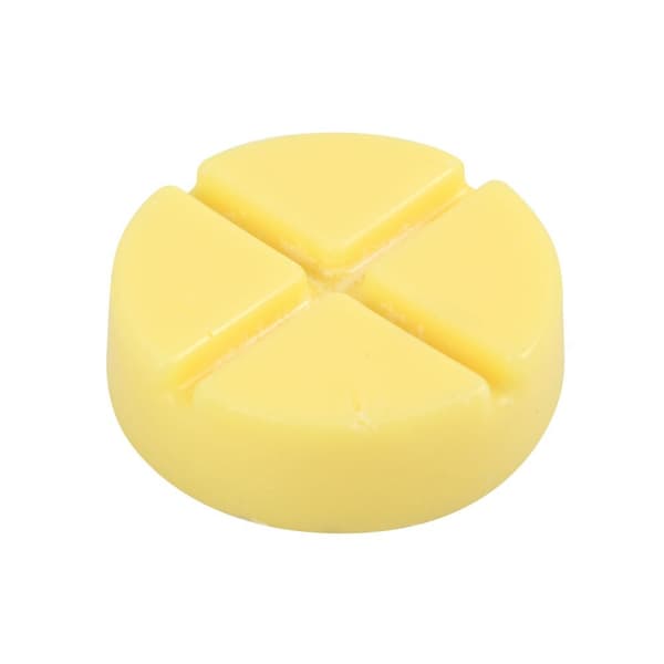 Something Different Spell Bound Disc Wax Melts