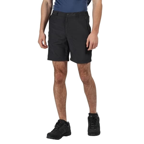Regatta Leesville II vandreshorts til mænd